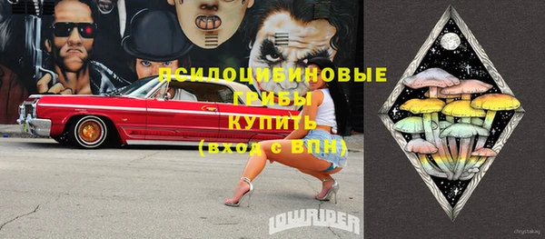 прущие крисы Кодинск